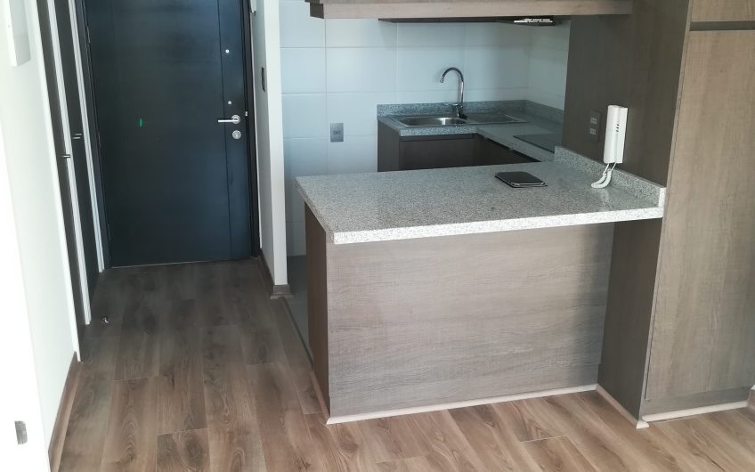 Se arrienda lindo departamento en pleno barrio Italia (valor UF 12,36)